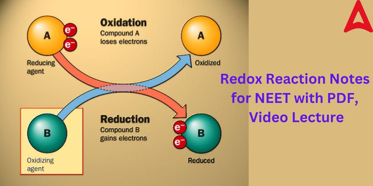 Redox Reaction Notes