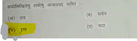 MP Board Class 10th Sanskrit Question Paper 2024, Download Answer Key PDF_5.1