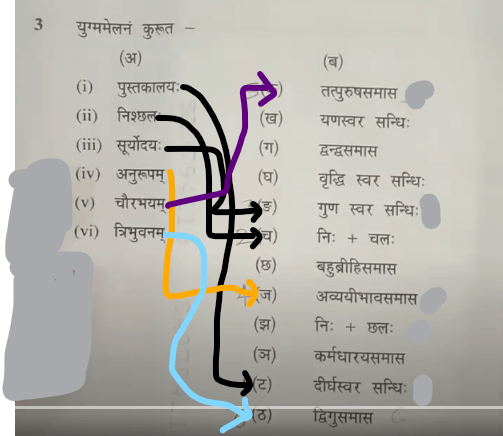 MP Board Class 10th Sanskrit Question Paper 2024, Download Answer Key PDF_9.1