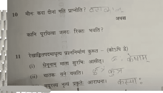 MP Board Class 10th Sanskrit Question Paper 2024, Download Answer Key PDF_12.1