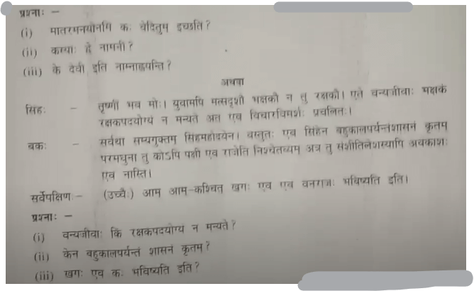 MP Board Class 10th Sanskrit Question Paper 2024, Download Answer Key PDF_19.1