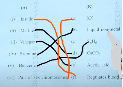 MP Board 10th Science Question Paper 2024 PDF with Answer Key_5.1