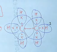 MP Board 10th Science Question Paper 2024 PDF with Answer Key_6.1