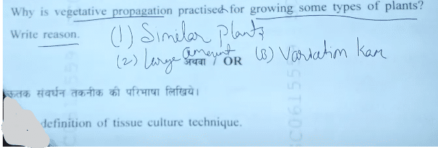 MP Board 10th Science Question Paper 2024 PDF with Answer Key_9.1