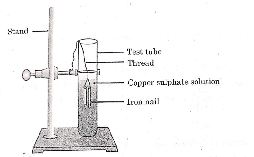 CBSE Class 10 Science Answer Key 2024, Board Paper All Sets_4.1