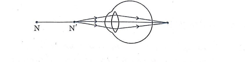 CBSE Class 10 Science Answer Key 2024, Board Paper All Sets -_5.1