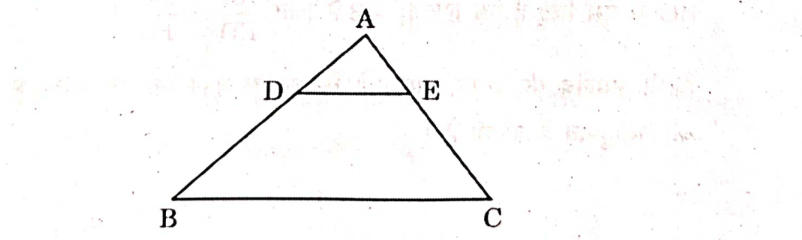 CBSE Class 10 Maths Answer Key 2024 for Standard & Basic Set 1,2,3_6.1