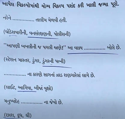 GSEB SSC Gujarati Question Paper 2024, Gujarati Answer Key PDF_5.1