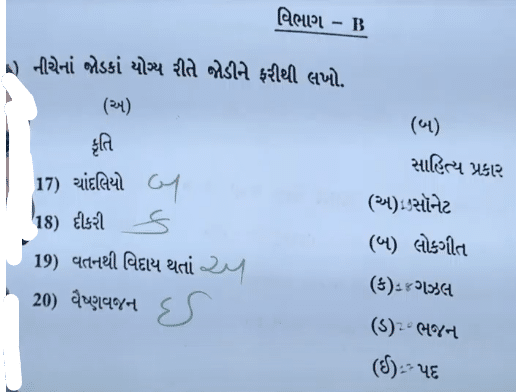 GSEB SSC Gujarati Question Paper 2024, Gujarati Answer Key PDF_10.1