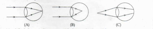 Kerala SSLC Physics Answer Key 2024 with Question Paper_10.1