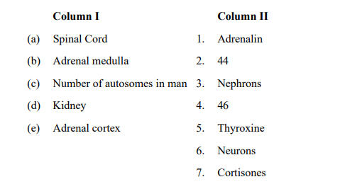 ICSE Class 10 Biology Specimen Paper 2024, PDF Download -_5.1