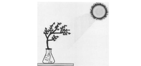 ICSE Class 10 Biology Specimen Paper 2024, PDF Download -_7.1