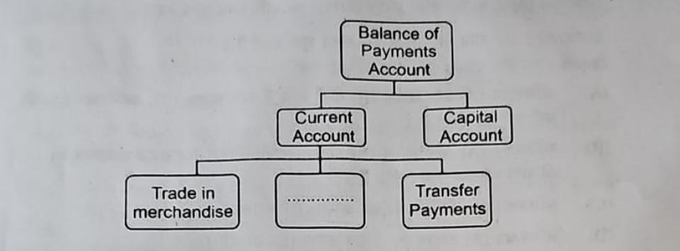 CBSE Class 12 Economics Answer Key 2024, Get Board Paper Set 1, 2, 3_4.1