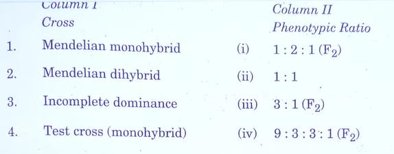 CBSE Class 12 Biology Answer Key 2024 Out for Set 1, 2, 3_3.1