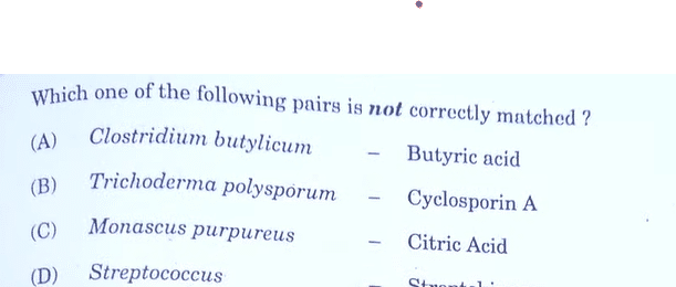 CBSE Class 12 Biology Answer Key 2024 Out for Set 1, 2, 3 -_4.1