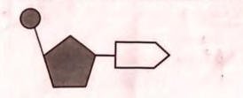 SSLC Biology Answer Key 2024 with Question Paper_9.1