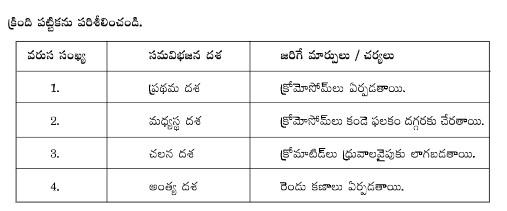 AP SSC Science Question Paper 2024, Answer Key PDF_4.1