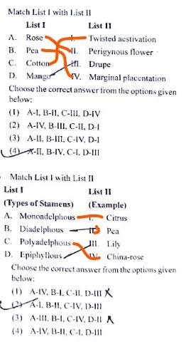 NEET 2024 Question Paper PDF Download_10.1