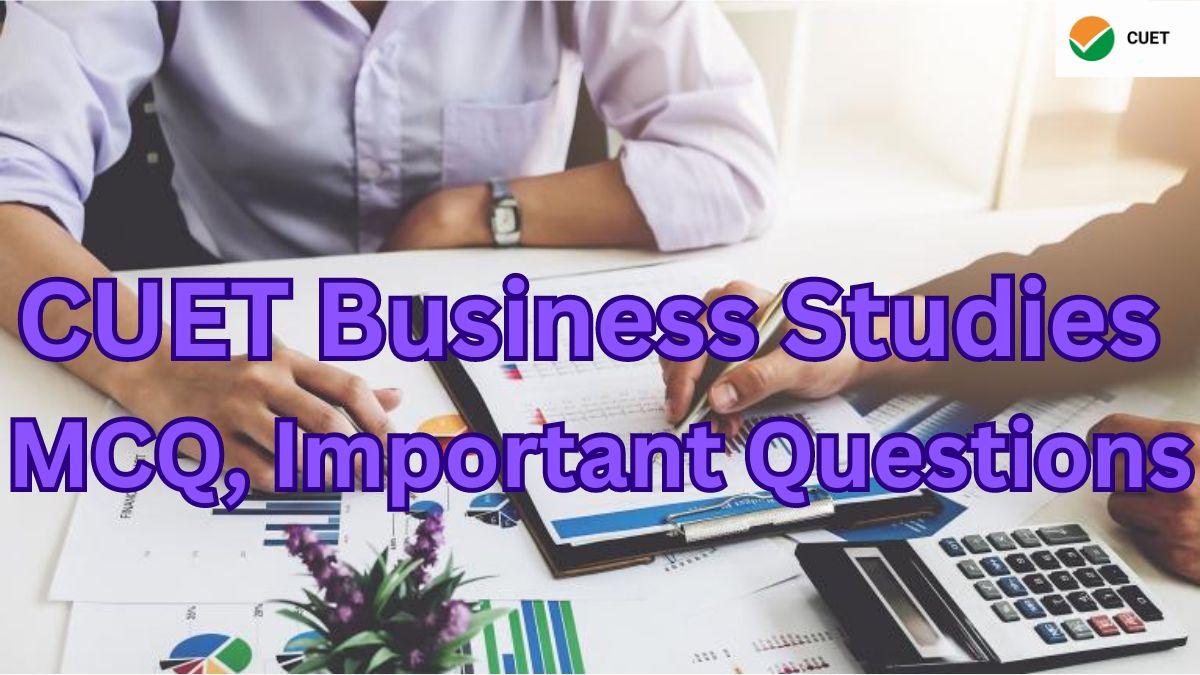 CUET Business Studies MCQ Important Questions