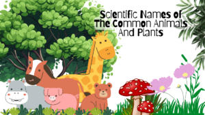 Scientific Names