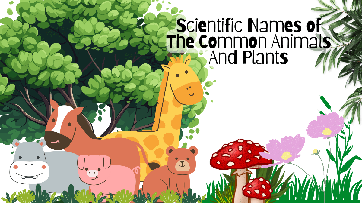 Scientific Names