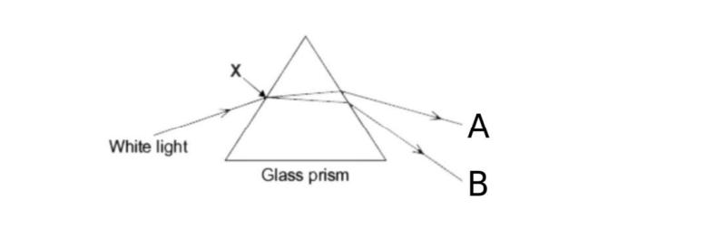 Class 10 Science Sample Paper 2024-25 with Solutions PDF Download -_4.1