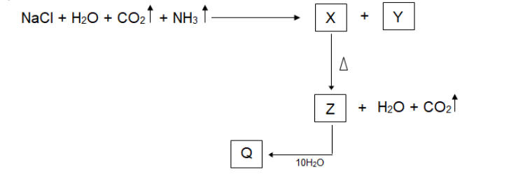 Class 10 Science Sample Paper 2024-25 with Solutions PDF Download -_10.1