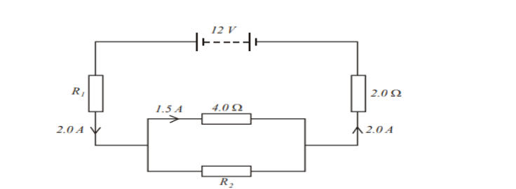 Class 10 Science Sample Paper 2024-25 with Solutions PDF Download -_15.1