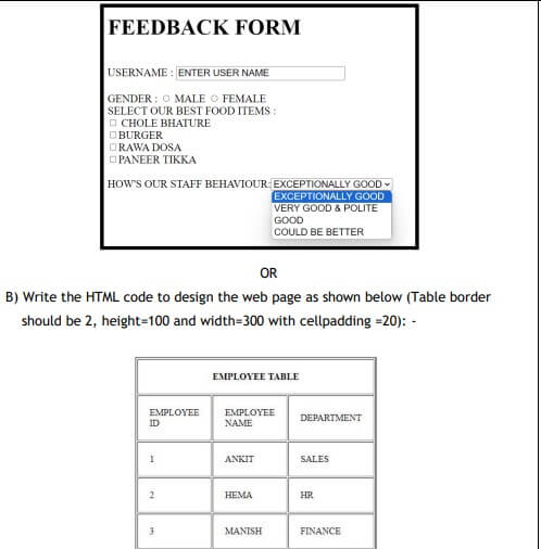 Class 10 Computer Sample Paper 2024-25 question