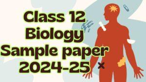 Class 12 Biology Sample paper 2024-25