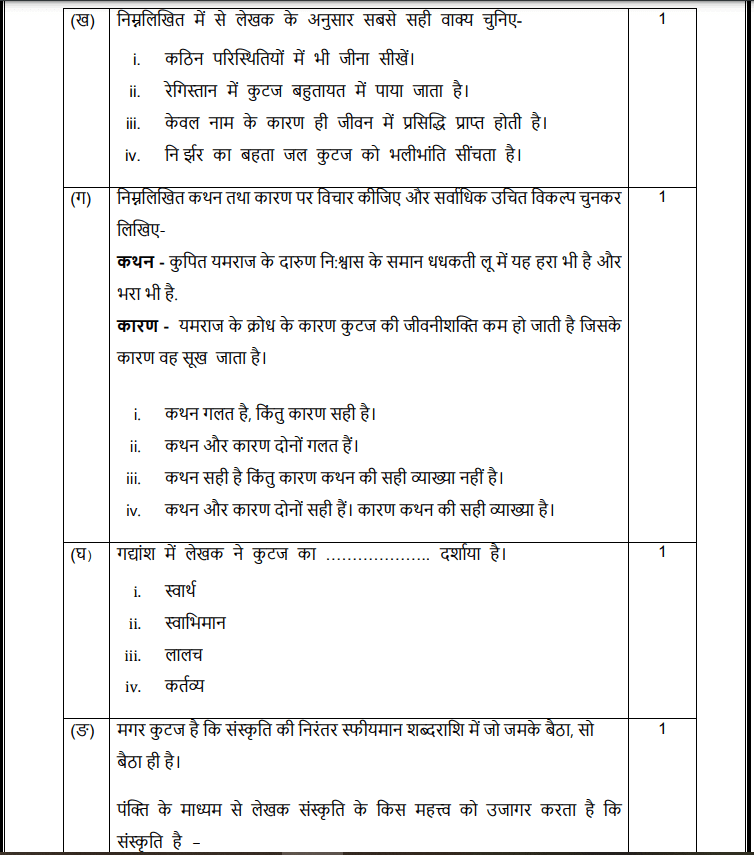 Class 12 Hindi Sample Paper 202425 Out, Download PDF