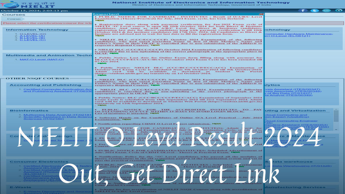 NIELIT O Level Result 2024