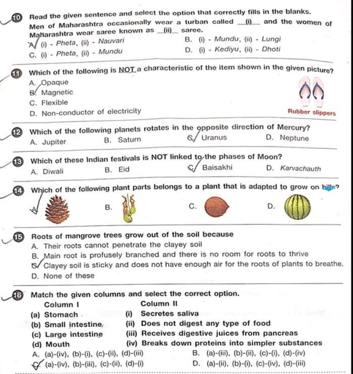 SOF NSO Answer Key 2024-25