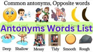 Antonyms Words List