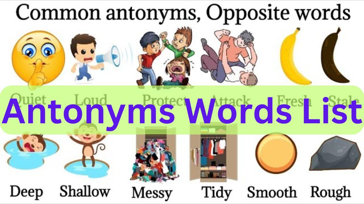 Antonyms Words List