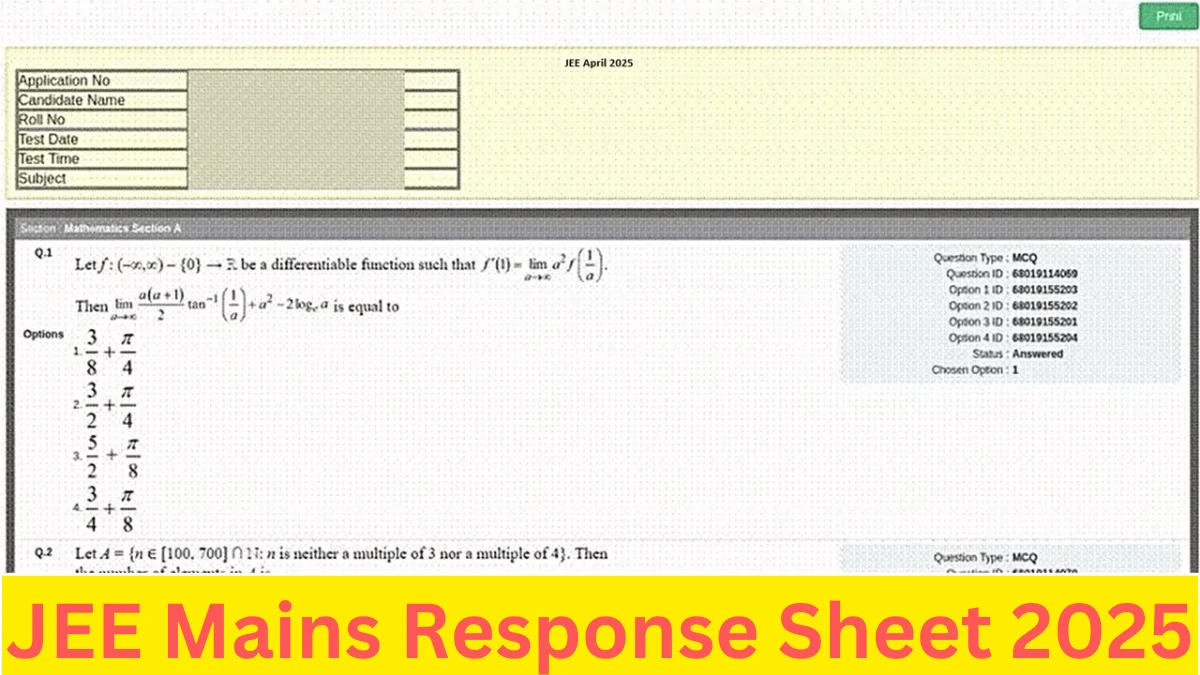 JEE Mains Response Sheet 2025