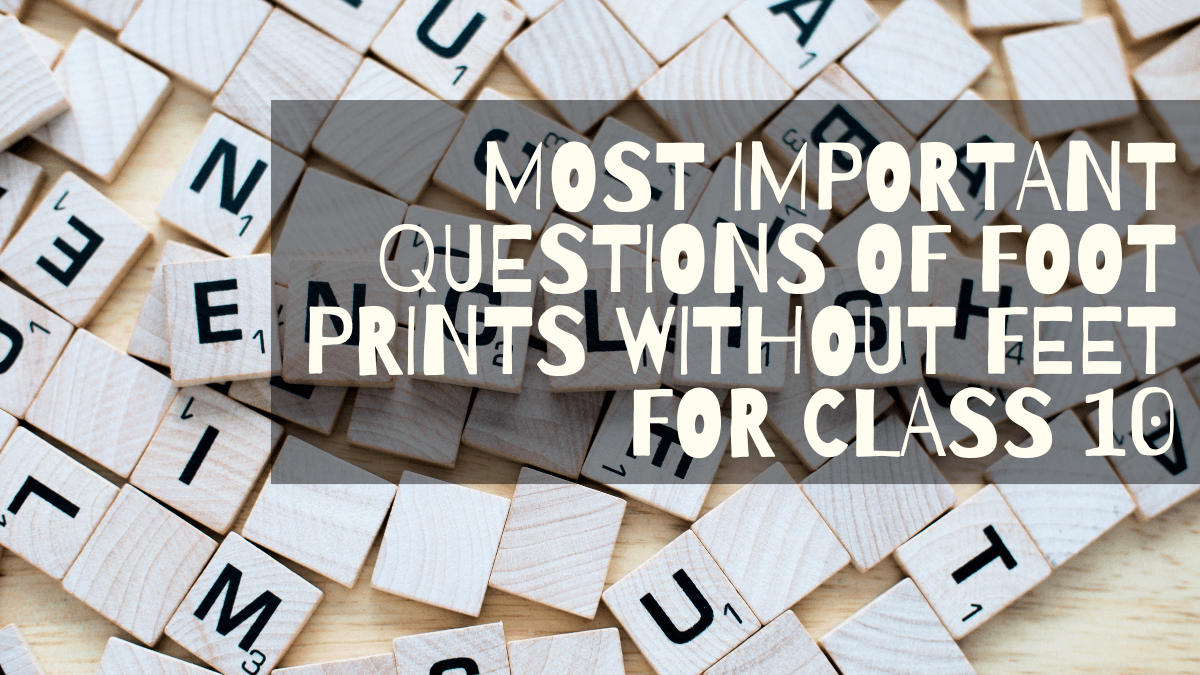 Most Important Questions of Foot Prints Without Feet for Class 10