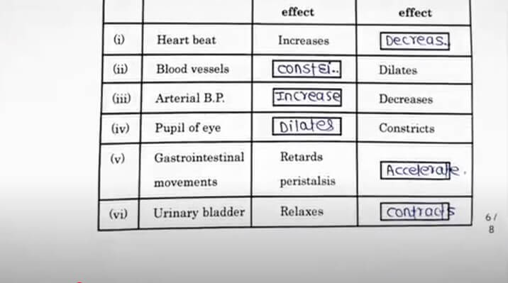 Maharashtra HSC Biology Answer Key 2025 PDF for All Sets_8.1