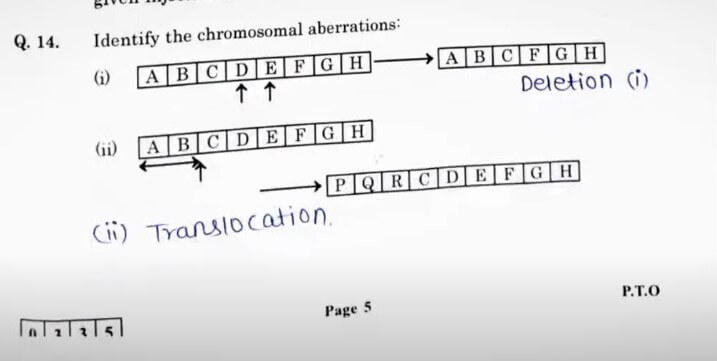 Maharashtra HSC Biology Answer Key 2025 PDF for All Sets_7.1