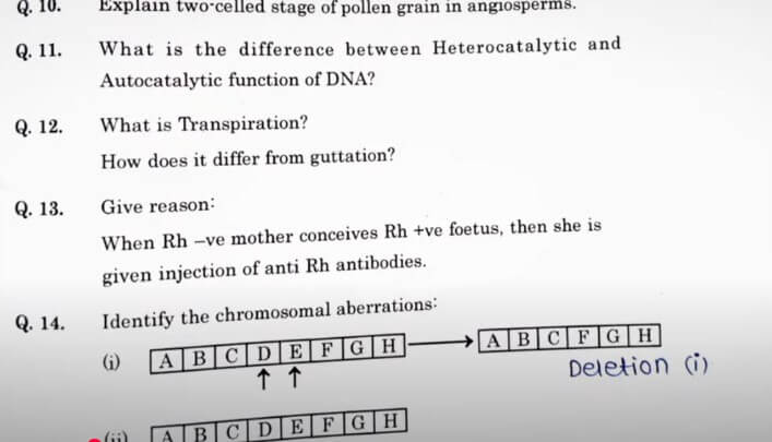 Maharashtra HSC Biology Answer Key 2025 PDF for All Sets_4.1