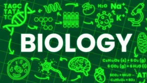 CBSE Class 12 Biology Question Paper 2025