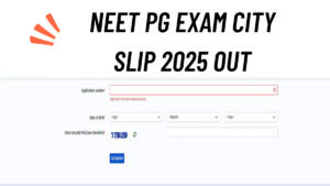 NEET PG Exam City Slip 2025 OUT