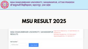 MSU Result 2025