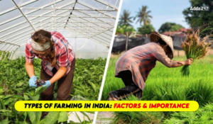 Types of Farming in India: Factors and Importance