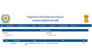 RSMSSB CET Scorecard 2025