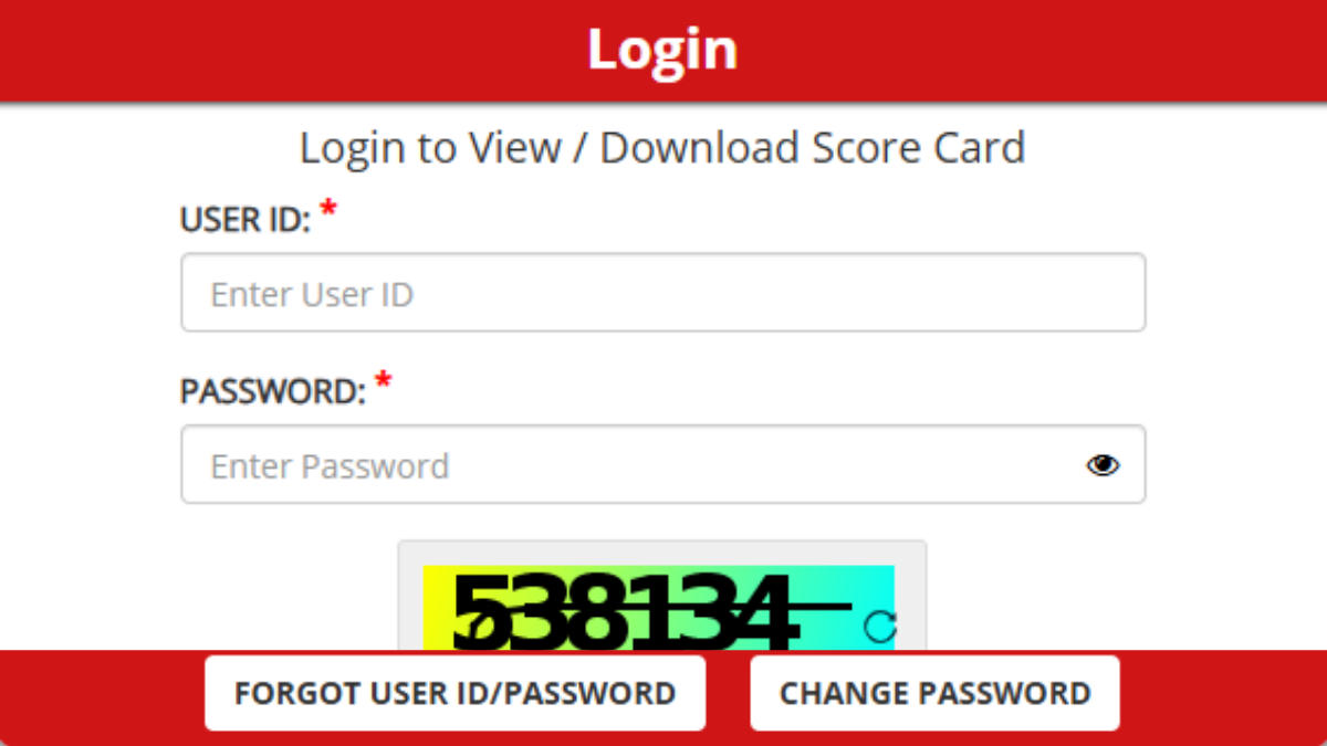 Beltron DEO Scorecard 2025