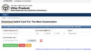 upsssc eo admit card