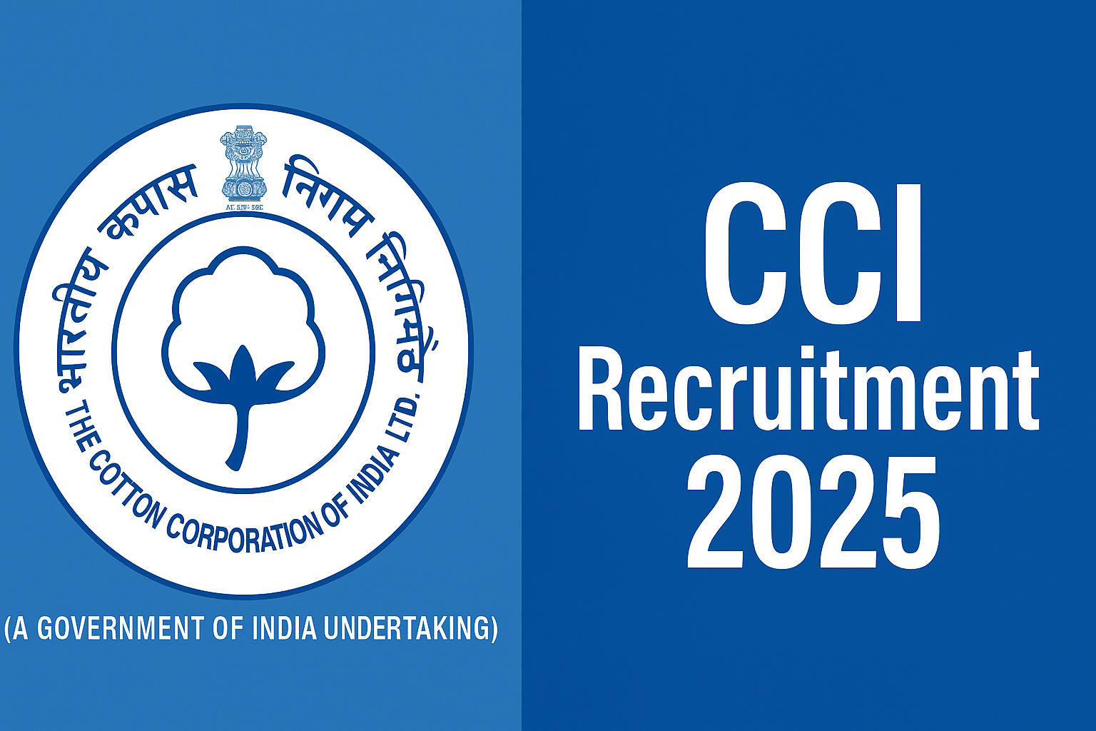 CCI Recruitment 2025
