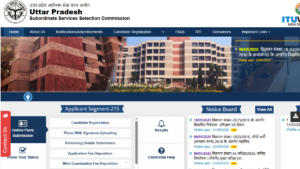 UPSSSC VDO Result 2025