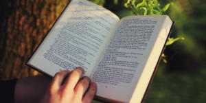 RSMSSB 4th Grade Syllabus